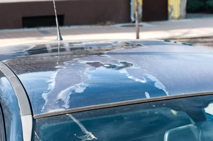 مانع آفتاب‌سوختگی رنگ خودرو 