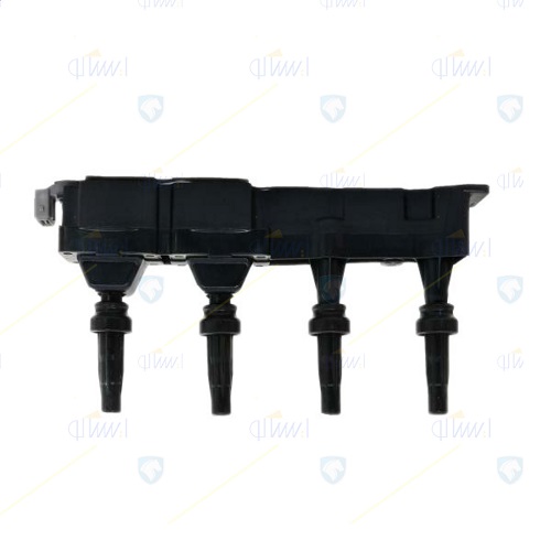 مجموعه كویل دوبل یكپارچه بامحافظ شمع موتورTU5با EMS:Bosch پژو 206