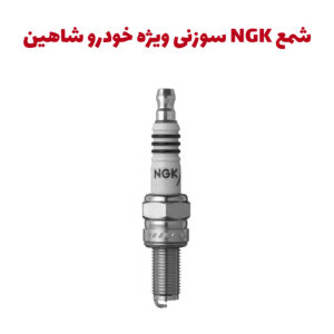 شمع شاهین